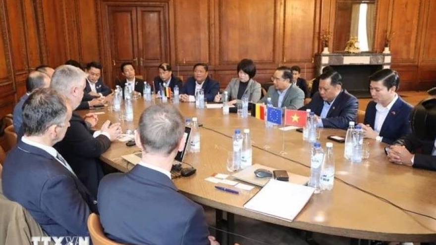 Long An eyes cooperation opportunities with Belgium in renewable energy